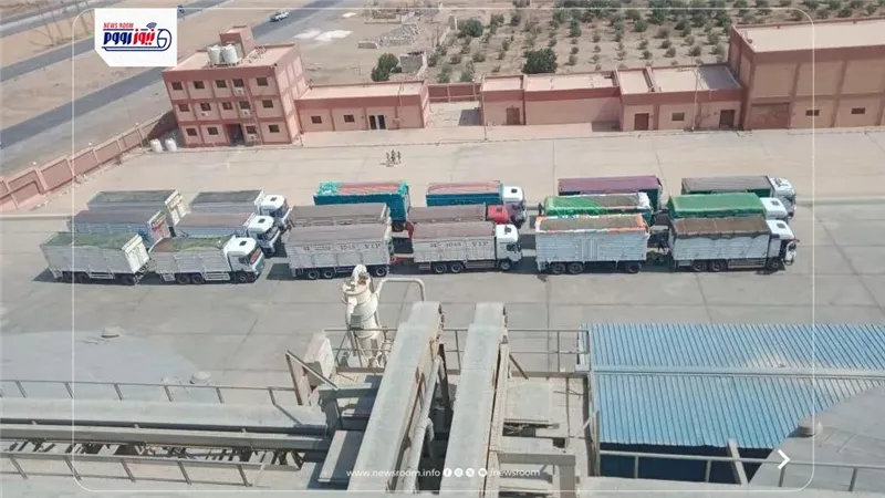 محصول القمح يتدفق إلى صوامع المنيا.. وتجاوز 270 ألف طن حتى الآن