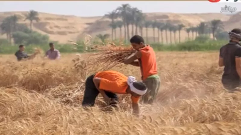 وزارة الزراعة تحذر: لا نبيع منتجات عبر الإنترنت وهذه الأسعار مؤشر غش