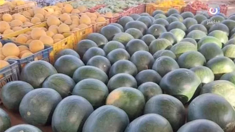 حاتم نجيب يكشف خطأ شائعة نظام «الطيبات» في البطيخ والمانجا