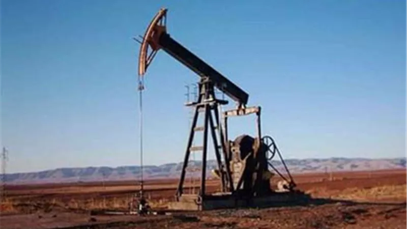 مصر تطرح مناقصة عالمية لمسح احتياطيات النفط والغاز في الصحراء الغربية