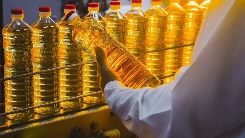 أسعار الزيت تنخفض 6 جنيهات لعباد الشمس وجنيه للذرة اليوم بالأسواق المصرية