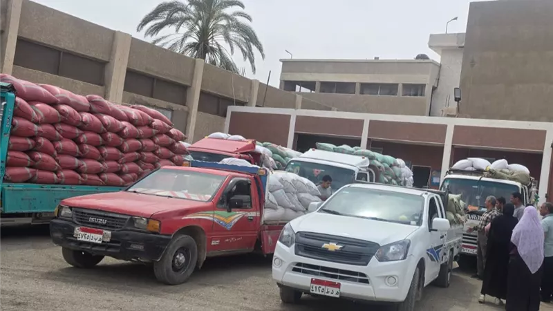 توريد 5801 طن قمح وتجهيز 15 موقعاً لاستقبال المحصول بسوهاج 