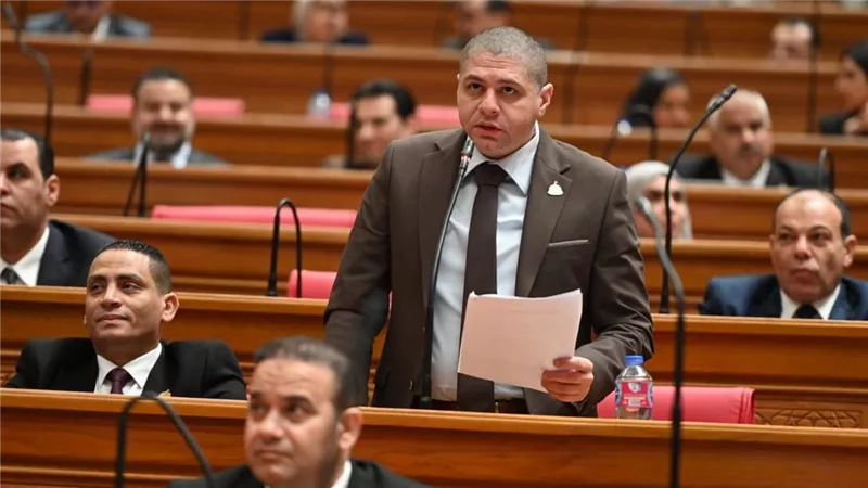 برلماني: الشراكة المصرية القبرصية ركيزة لتعزيز الأمن والاستقرار في شرق المتوسط