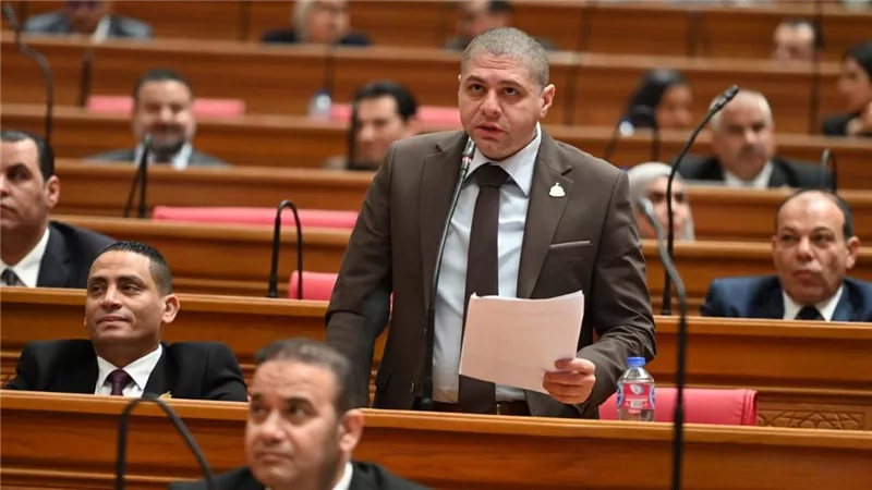 طلب إحاطة بشأن أزمة نقص الأسمدة الزراعية بالواحات البحرية
