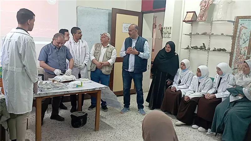 تعاون بنى سويف وامبابة بورشة عمل حول تشريح الكائنات الحية