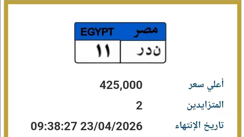 لمحبي التميز.. سعر لوحة «ن د ر 11» يتجاوز 425 ألف جنيه