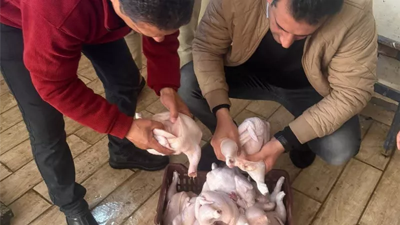 الغربية تضبط 392 كجم لحوم ودواجن وأسماك غير صالحة للاستهلاك الآدمي