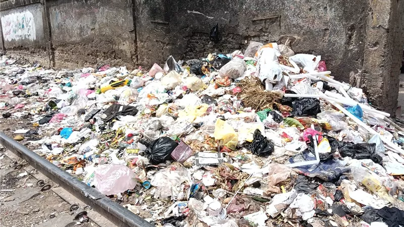استجابة فورية.. رفع 80 طن قمامة بالتعاون مع الأجهزة التنفيذية بمحافظة الغربية