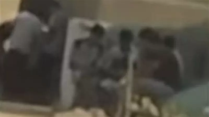 إحالة  المتهمين بالاتجار فى المخدرات داخل مقابر حلوان للجنايات 