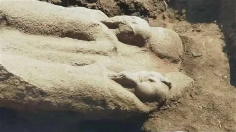 من تل فرعون إلى صان الحجر.. رحلة تمثال أثري مزدوج للدراسة والترميم