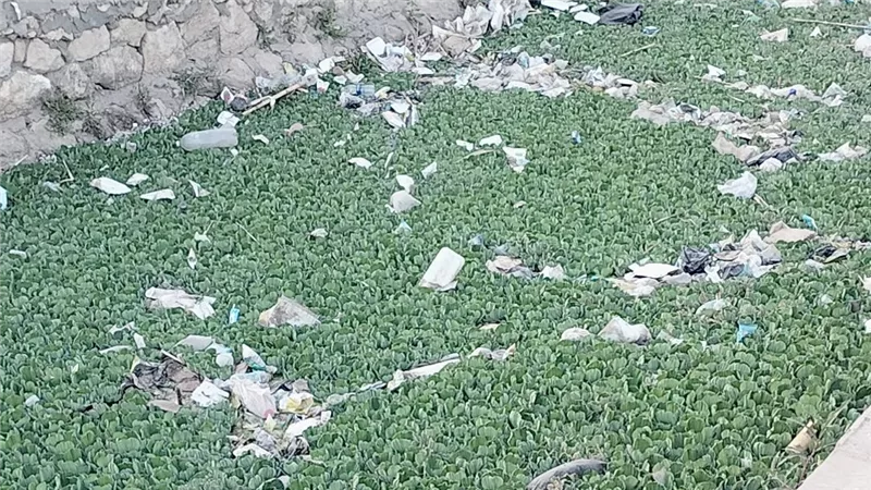 أهالي المصيلحة بالمنوفية يشكون من ترعة ملوثة وسط الكتلة السكنية