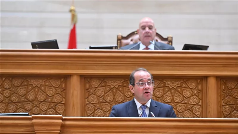 وزير المالية: احتياطي النقد الأجنبي يرتفع إلى 53 مليار دولار