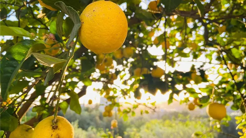 شاب فلسطيني يستعيد ذكريات بيت عاش في الضوء رغم الركام: «ذاكرة لا تُهدم»