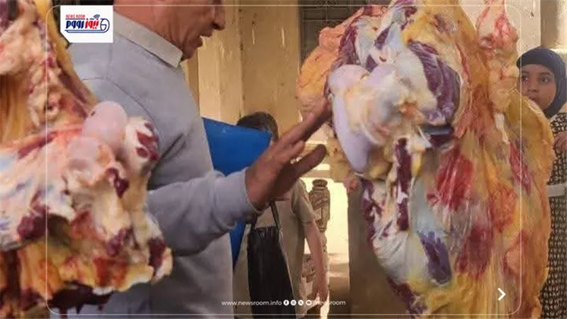 ضبط 277 كيلو لحوم فاسدة ومخالفات غذائية خلال حملات رقابية مكثفة في المنيا