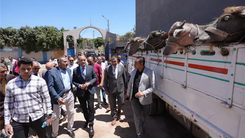 محافظ أسيوط يسلم 28 رأس ماشية للأسر الأولى بالرعاية بالبداري ضمن مشروع البيوجاز