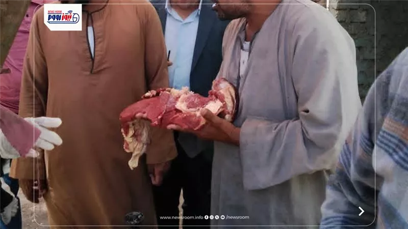 ضبط لحوم فاسدة وسولار مهرب وتحرير 28 محضر مخالفة في المنيا