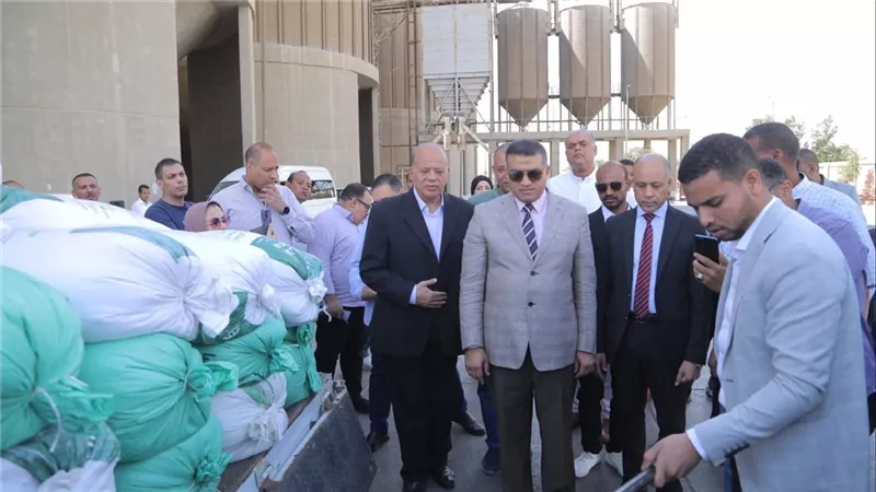 من إحدى المزارع الحقلية بدندرة.. محافظ قنا يطلق إشارة بدء موسم حصاد القمح