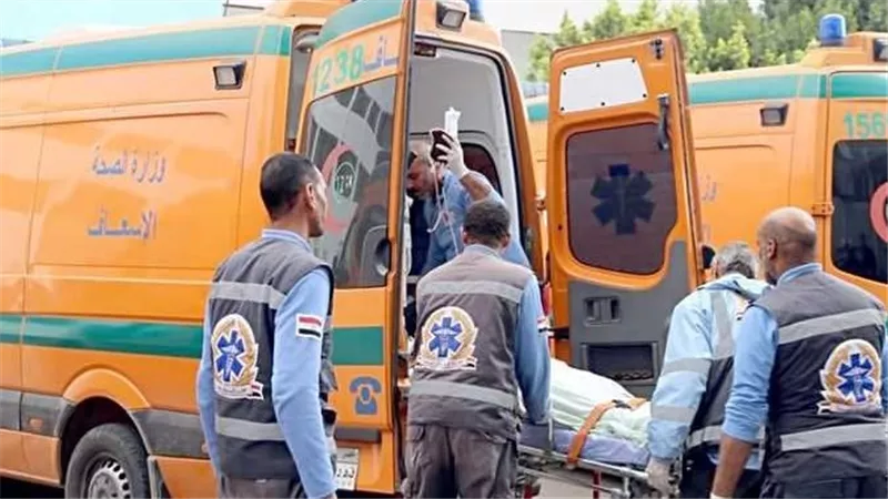 مصرع شاب اثر حادث تصادم على طريق ميت بره بالمنوفية