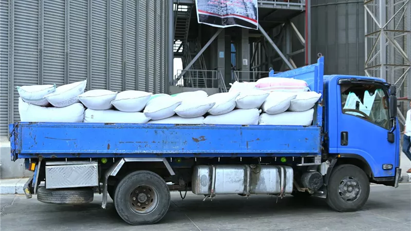 توريد 3884 طن قمح بالبحيرة حتى صباح اليوم وانتظام كامل بمنظومة الاستلام
