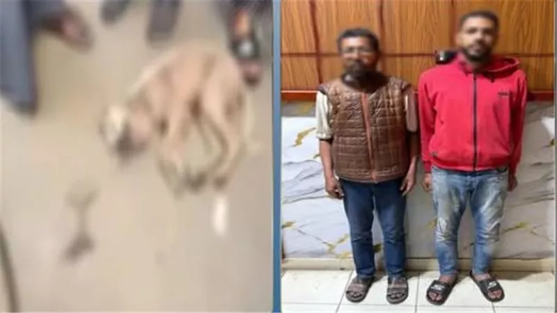 خايفين من العدوى.. القبض على شخصين لاتهامهم بضرب كل حتي الموت بالشرقية