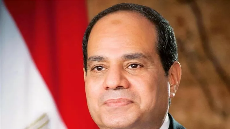 ربط حقول الغاز بالبنية التحتية في مصر .. تفاصيل لقاء الرئيس بنظيره القبرصي