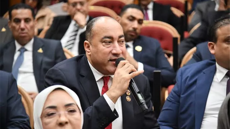 عمرو رشاد: كلمة الرئيس السيسي حملت العديد من الرسائل المهمة 