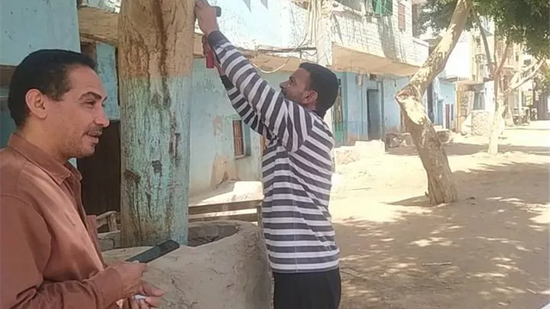 محافظ أسيوط : استمرار تركيب الأكواد التعريفية لأشجار مبادرة 100 مليون شجرة 