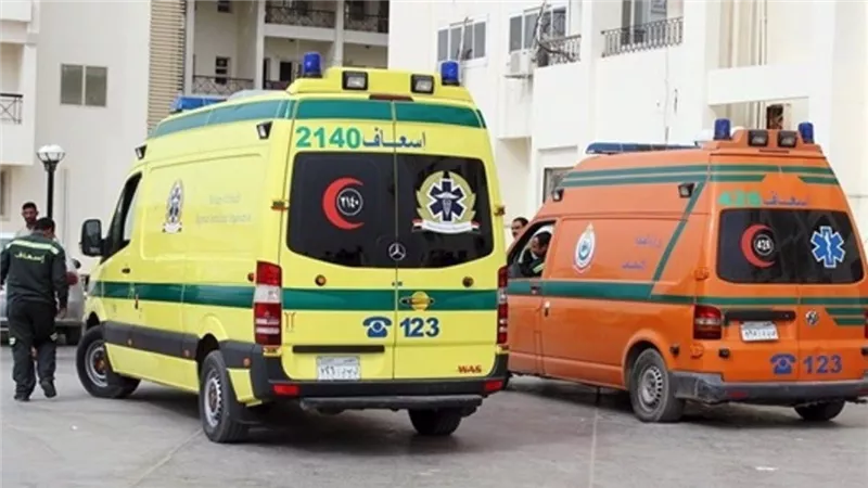 «نيوز رووم» تنشر أسماء ضحايا ومصابي حادث الطريق الصحراوي الـ14 في المنيا