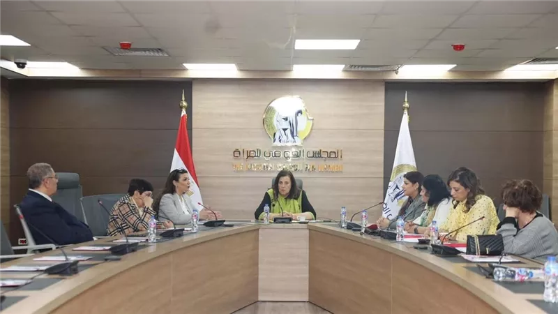 لجنة العلاقات الخارجية بالقومي للمرأة تستعرض أنشطتها وخططها المستقبلية