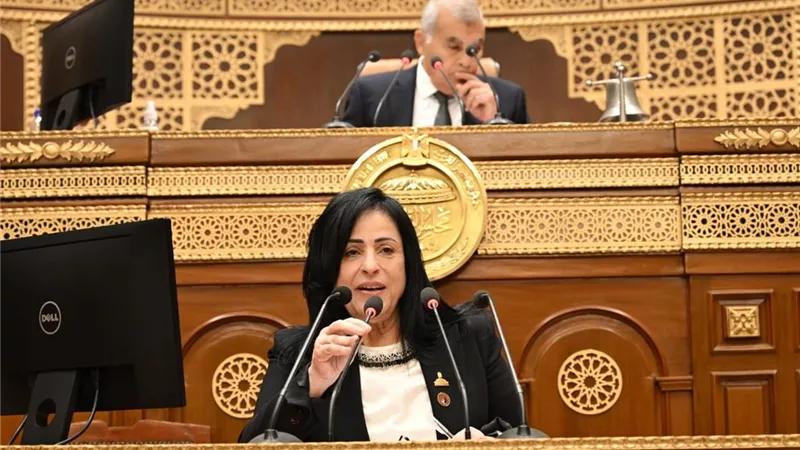 النائبة ميرال الهريدي تدعو لاستضافة محمد فراج وهاني أبو ريدة للشيوخ 