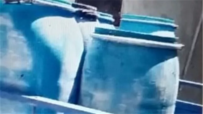 بنى سويف| ضبط مصنع أجبان غير مرخص بالواسطى وغلق مطعم لمدة شهر