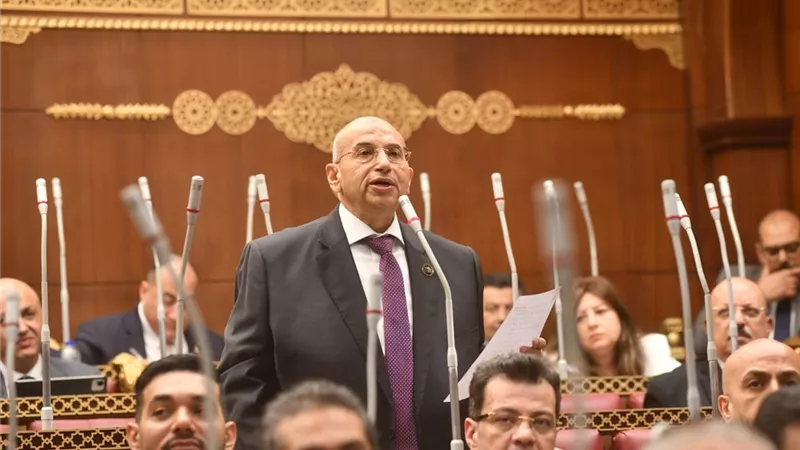 برلماني يطالب بتحويل مراكز الشباب لـ حاضنات للابتكار الرقمي والوعي الوطني