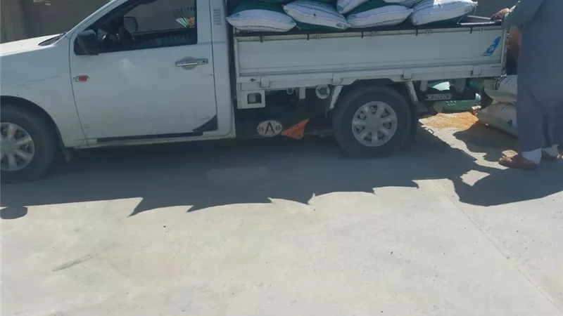 البحيرة تواصل توريد القمح بمؤشرات إيجابية.. 7360 طن إجمالى ماتم توريده 