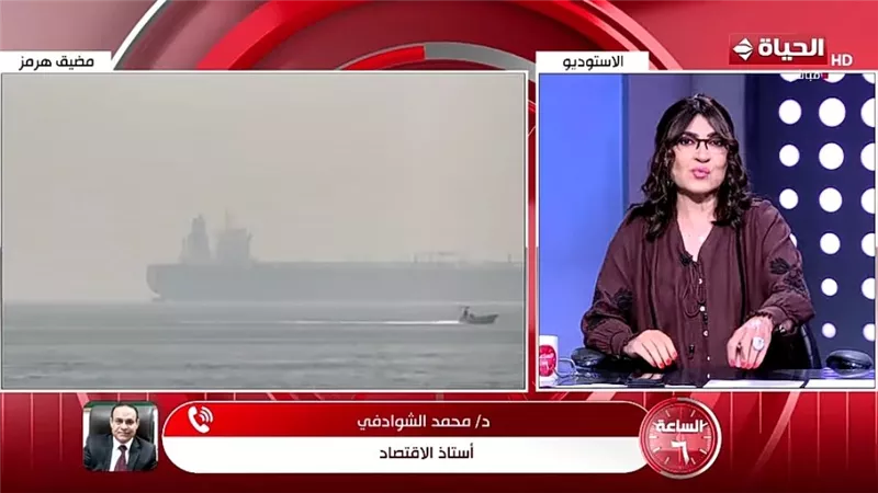 الشوادفي: إغلاق مضيق هرمز «صدمة» للاقتصاد العالمي وتغيير شامل لخريطة الاستثمار