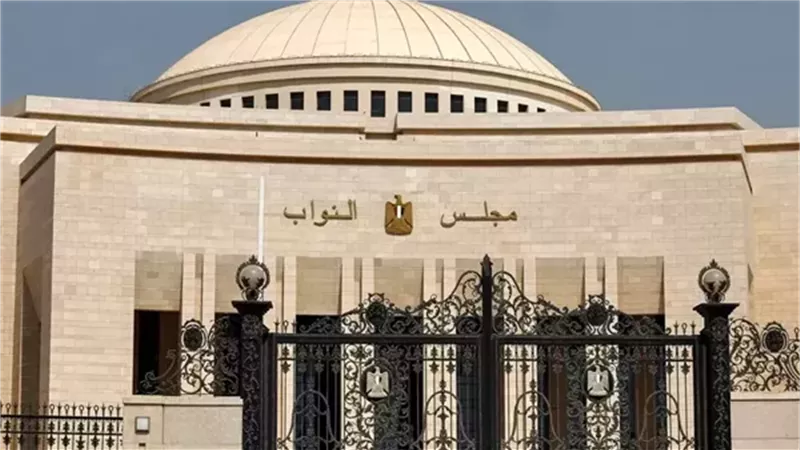 مطالب صارمة لإنقاذ المواطنين من الاحتيال الإلكتروني والحفاظ على بياناتهم 