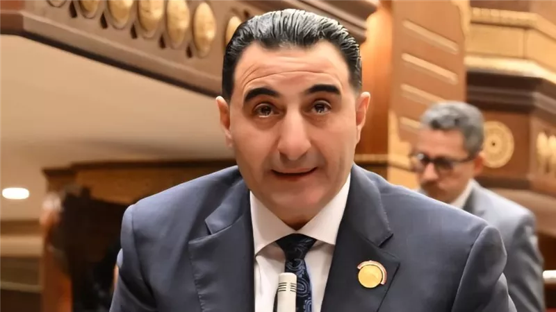 برلماني يطالب بتطوير المنظومة التأمينية لتحقيق الحماية الاجتماعية والاستدامة
