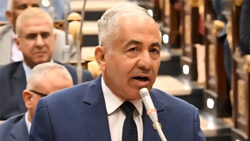 أحمد العوضي وكيل مجلس الشيوخ يطالب بوضع حد أدنى للمعاشات  