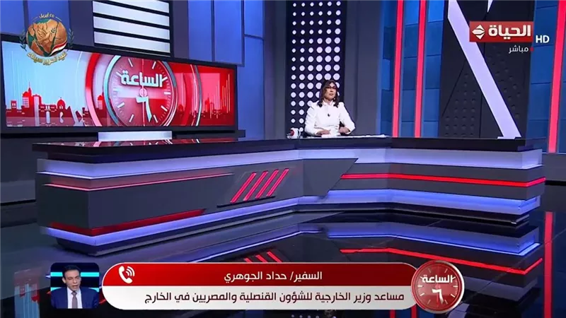 الرئيس يوجه بتقديم أقصى درجات الرعاية للمصريين بالخارج.. وتحركات قنصلية مكثفة