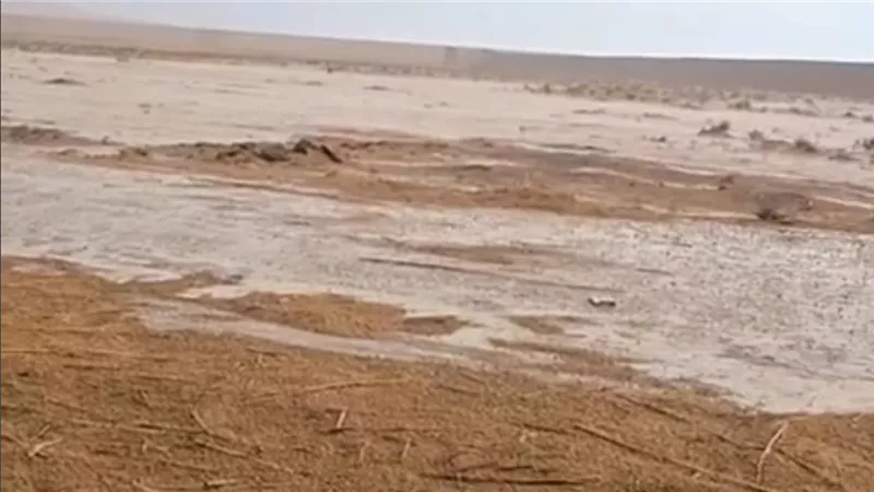 الدكتور سويلم يتابع موقف السيول بشمال سيناء ويؤكد عدم وقوع أي خسائر