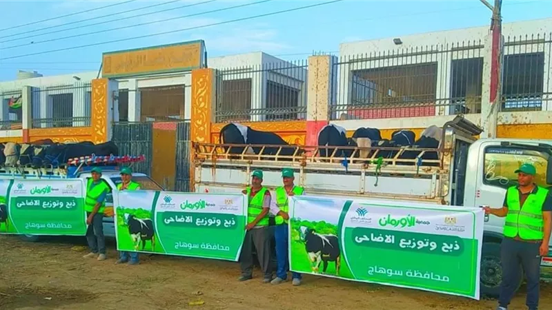 الأورمان وتضامن سوهاج يطلقان أكبر خطة لتوزيع لحوم الأضاحي على الأسر الأولى 