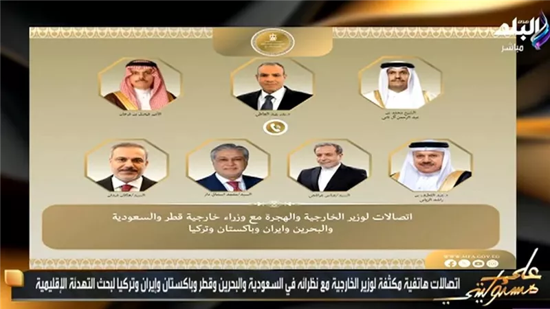موسى: مصر استجابت لكافة طلبات الأشقاء العرب ووزير الخارجية يجري اتصالات مكثفة
