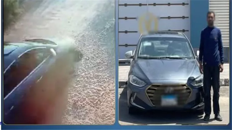 بعد تصدره التريند.. القبض على قائد سيارة دهس الكلاب الضالة بالإسماعيلية