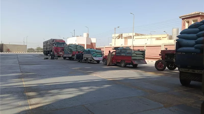 أسيوط تدعم الأمن الغذائي بتوريد 33 ألف طن قمح حتى الآن