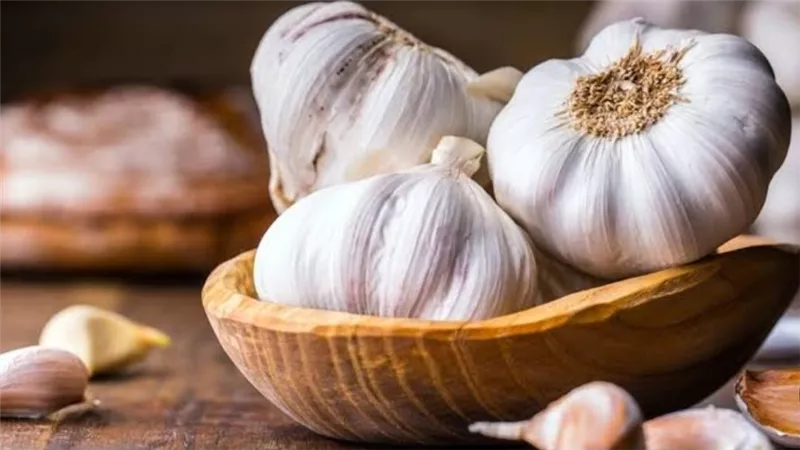     فوائد الثوم في تقليل الكوليسترول الضار ودعم صحة القلب بشكل طبيعي مستمر