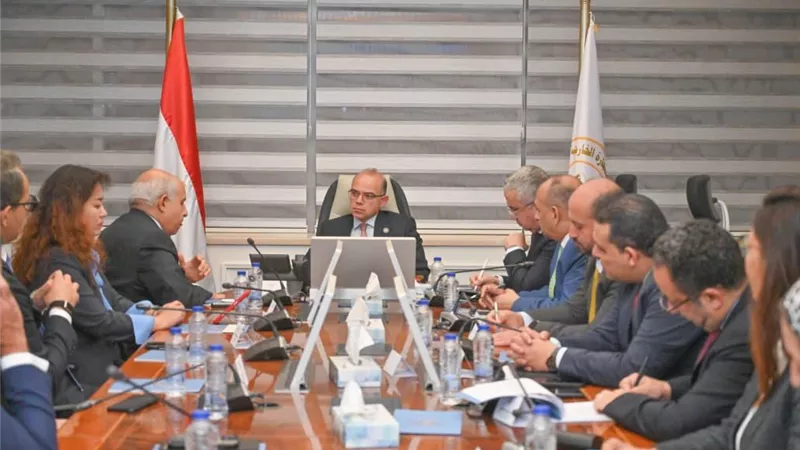 باستثمارات ملياري دولار.. مشروع صيني لإنتاج إطارات السيارات بمصر