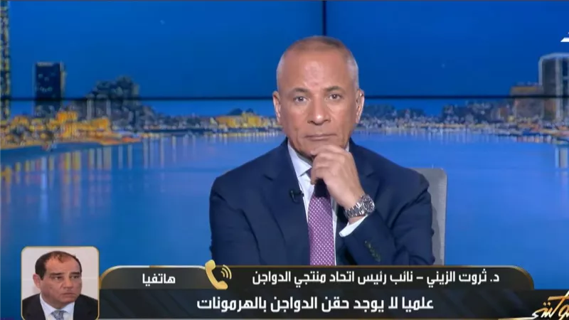الزيني: صناعة الدواجن تتعرض لحملات مضللة ولا صحة لحقن الهرمونات ونصدر للخارج