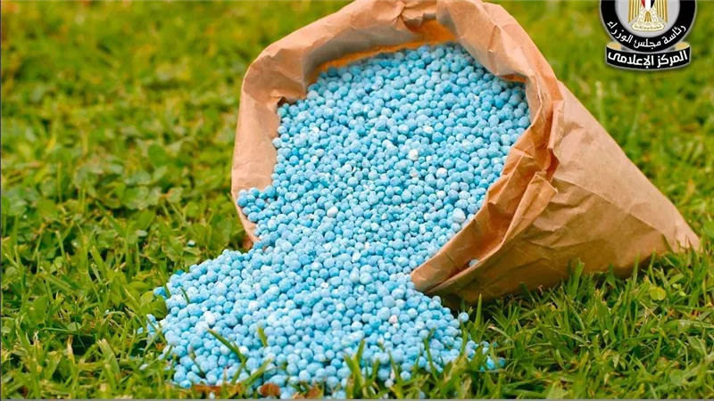 الحكومة تؤكد توافر مخزون استراتيجي آمن ومستقر من الأسمدة بالجمعيات الزراعية