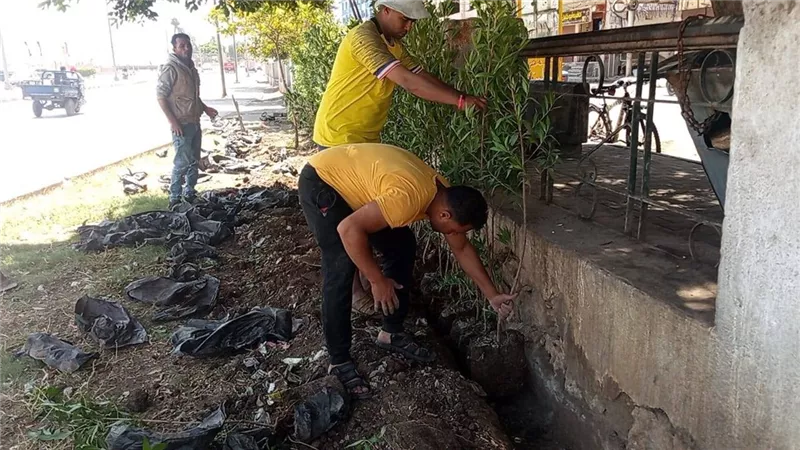 محافظ أسيوط: تحويل موقع مخلفات بالوليدية بحي شرق إلى مساحة خضراء نظيفة