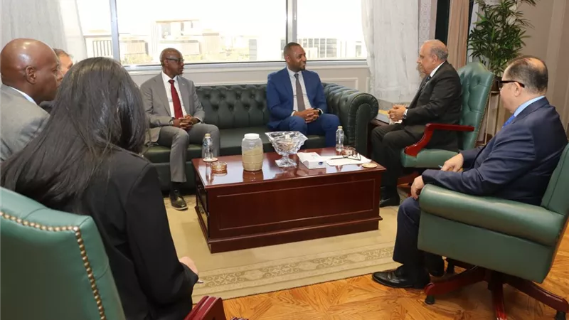 وزير الكهرباء يبحث مع نظيره الرواندي تعزيز التعاون في البنية التحتية