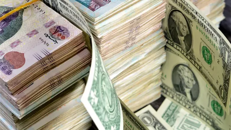 تفاصيل الـ5مليارات جنيه الموجهة بالموازنة الجديدة لـ المشروعات الصغيرة 